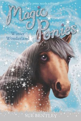 Sue Bentley - Winter Wonderland, Häftad. Tillgänglighet: Lägg i varukorg