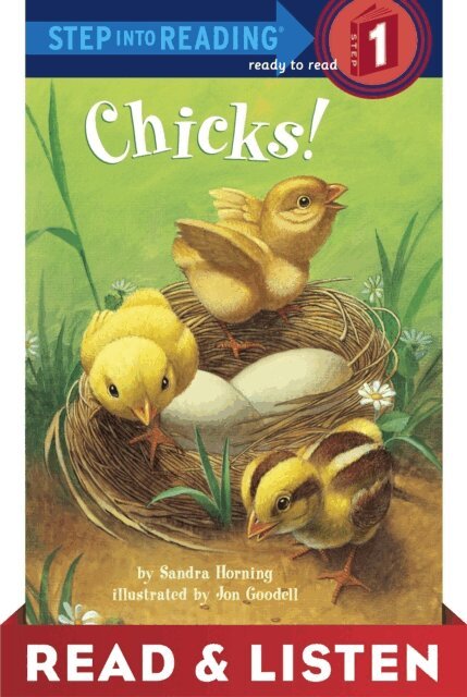 Sandra Horning - Chicks! Read & Listen Edition, E-bok