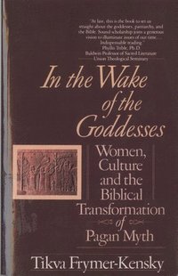 In the Wake of the Goddesses: Women, Culture and the Biblical Transformation of Pagan Myth