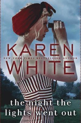 Karen White - Night the Lights Went Out, E-bok