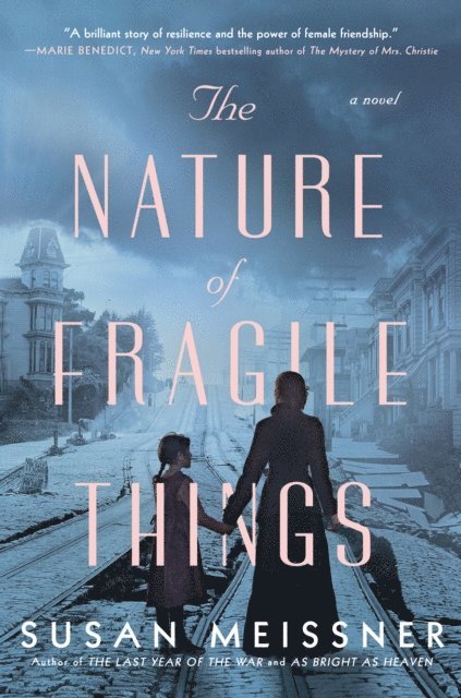 Susan Meissner - Nature of Fragile Things, E-bok