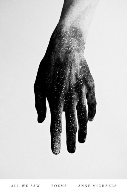 Anne Michaels - All We Saw, E-bok