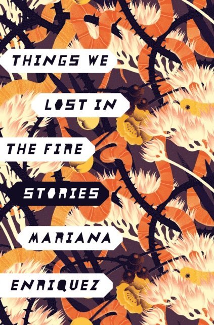 Mariana Enriquez - Things We Lost in the Fire, E-bok