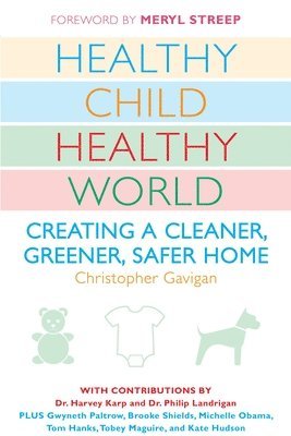 Christopher Gavigan - Healthy Child Healthy World, Häftad