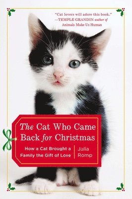 Julia Romp - The Cat Who Came Back for Christmas: How a Cat Brought a Family the Gift of Love, Häftad. Tillgänglighet: Lägg i varukorg