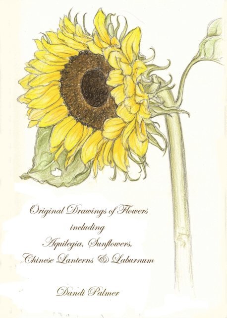 Dandi Palmer - Original Drawings of Flowers Including Aquilegia, Sunflowers, Chinese Lanterns and Laburnum, E-bok