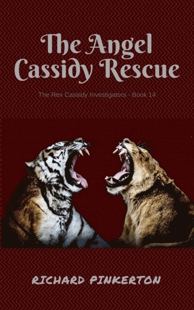 Richard Pinkerton - Angel Cassidy Rescue, E-bok. Tillgänglighet: Lägg i varukorg