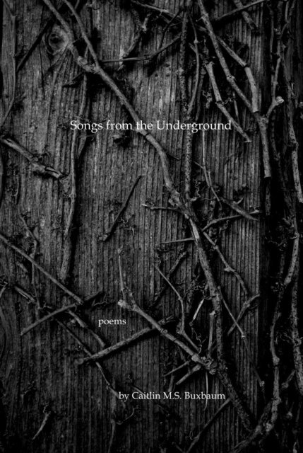 Caitlin M.S. Buxbaum - Songs from the Underground, E-bok