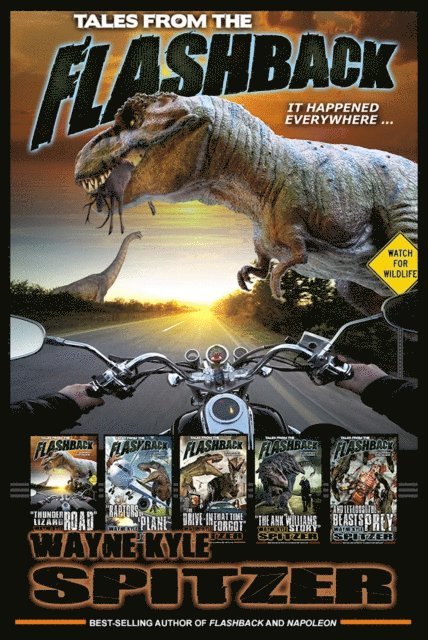 Wayne Kyle Spitzer - Tales from the Flashback, E-bok