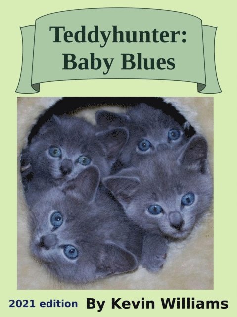Kevin Williams - Teddyhunter: Baby-Blues, E-bok