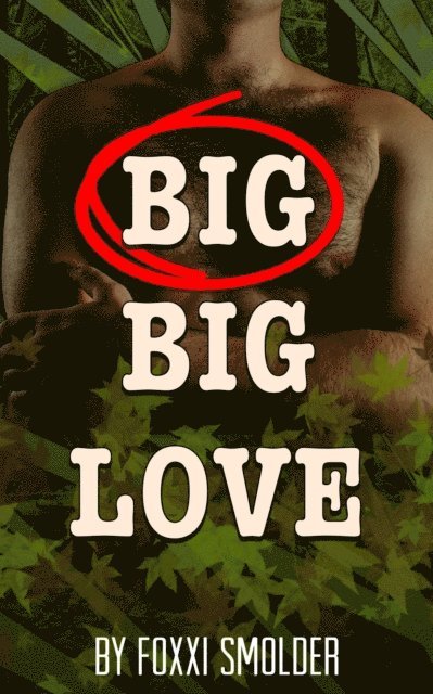 Foxxi Smolder - Big Big Love, E-bok