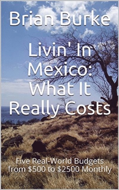 Brian Burke - Livin' In Mexico: What It Really Costs, E-bok