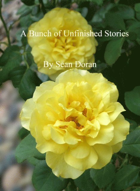 Sean Doran - Bunch of Incomplete Stories, E-bok