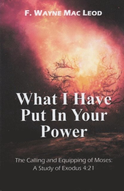 F. Wayne Mac Leod - What I Have Put in Your Power, E-bok