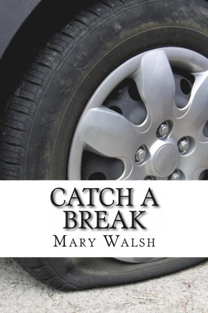 Mary Walsh - Catch a Break, E-bok