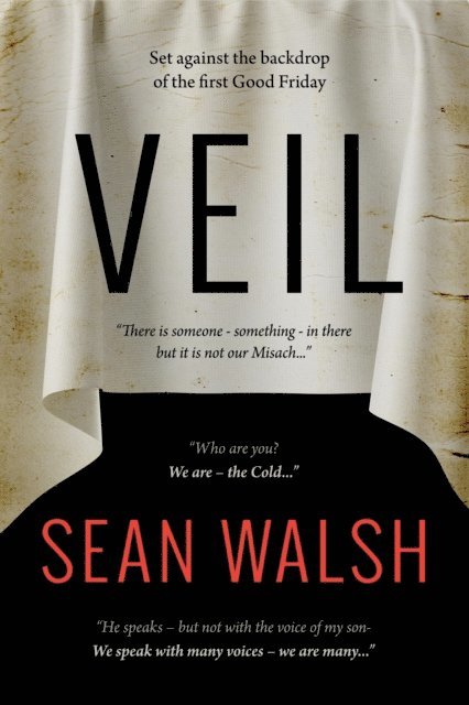 Sean Walsh - Veil, E-bok