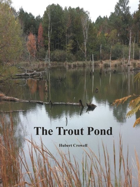 Hubert Crowell - Trout Pond, E-bok. Tillgänglighet: Lägg i varukorg