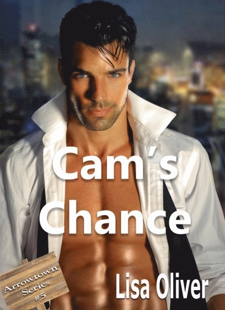 Lisa Oliver - Cam's Chance, E-bok
