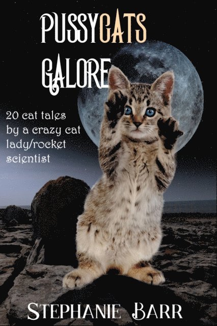 Stephanie Barr - Pussycats Galore, E-bok. Tillgänglighet: Lägg i varukorg