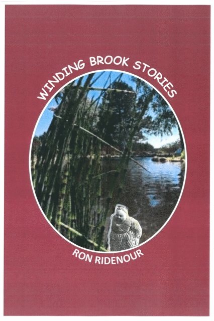 Ron Ridenour - Winding Brook Stories, E-bok