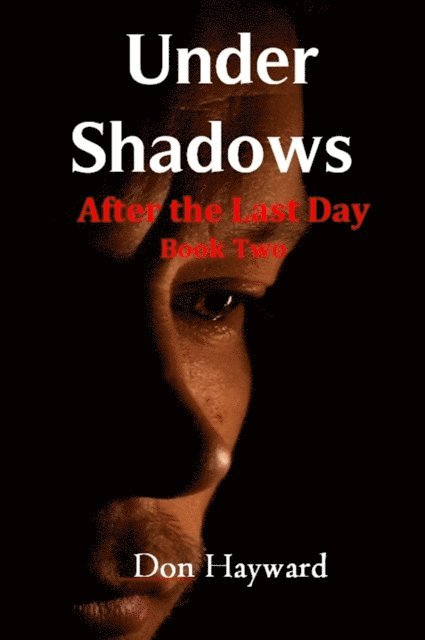 Don Hayward - Under Shadows, E-bok