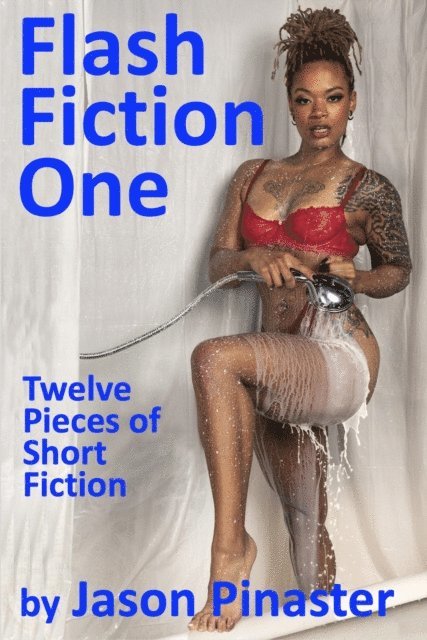 Jason Pinaster - Flash Fiction One:  Twelve Pieces of Short Fiction, E-bok