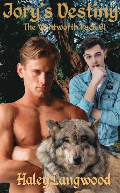 Haley Langwood - Wentworth Pack 01 Jory's Destiny, E-bok