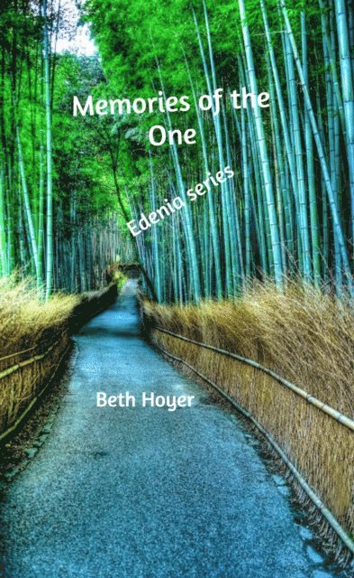Beth Hoyer - Memories of One, E-bok