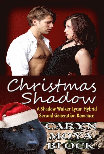Caryn Moya Block - Christmas Shadow, E-bok