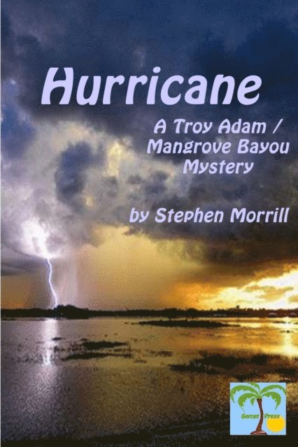 Stephen Morrill - Hurricane, E-bok