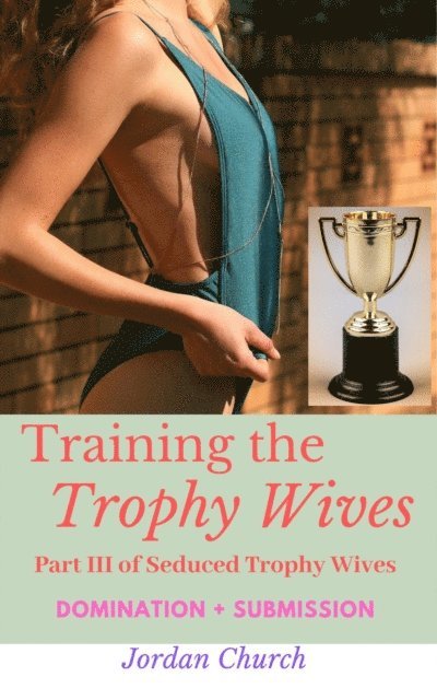 Jordan Church - Training the Trophy Wives, E-bok