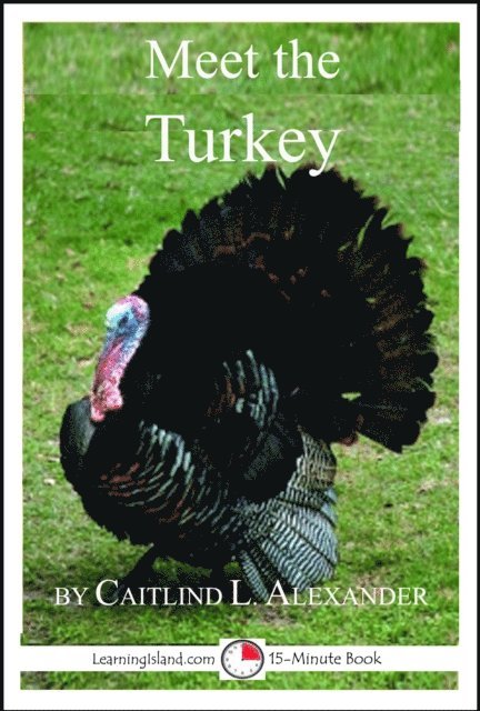 Caitlind L. Alexander - Meet the Turkey, E-bok. Tillgänglighet: Lägg i varukorg