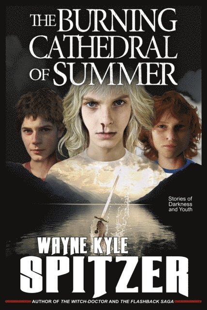 Wayne Kyle Spitzer - Burning Cathedral of Summer: Stories of Darkness and Youth, E-bok