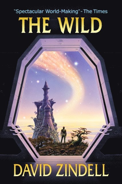 David Zindell - Wild: Book Three of the Neverness Cycle, E-bok