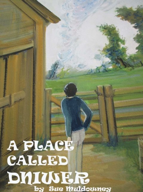 Sue Muldowney - Place Called Dniwer., E-bok