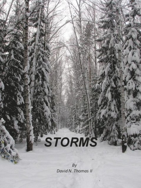 David Thomas - Storms, E-bok
