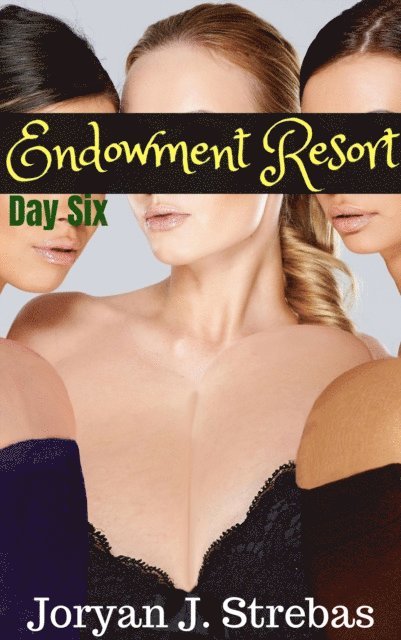 Joryan J. Strebas - Endowment Resort: Day Six, E-bok. Tillgänglighet: Lägg i varukorg