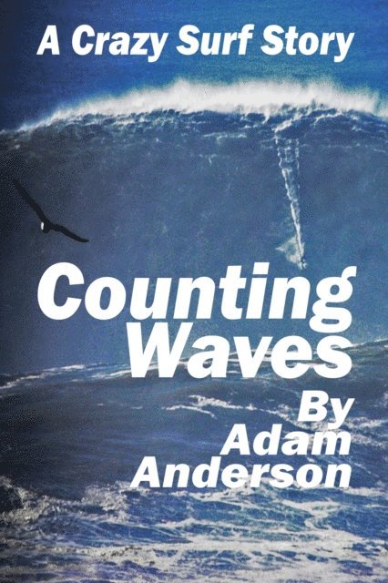Adam Anderson - Counting Waves - A Crazy Surf Story, E-bok. Tillgänglighet: Lägg i varukorg