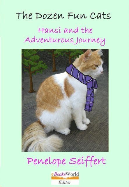 Dozen Fun Cats. Hansi and the Adventurous Journey