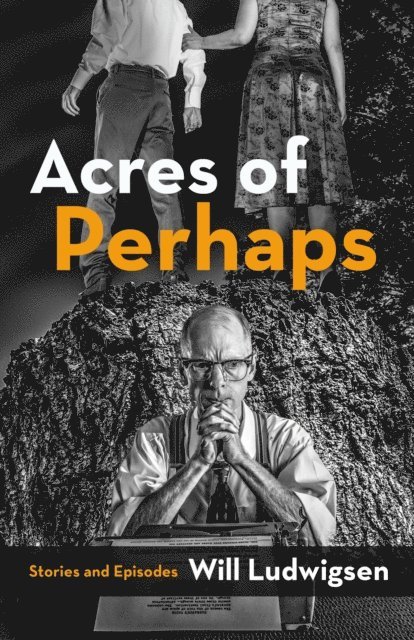 Will Ludwigsen - Acres of Perhaps: Stories and Episodes, E-bok