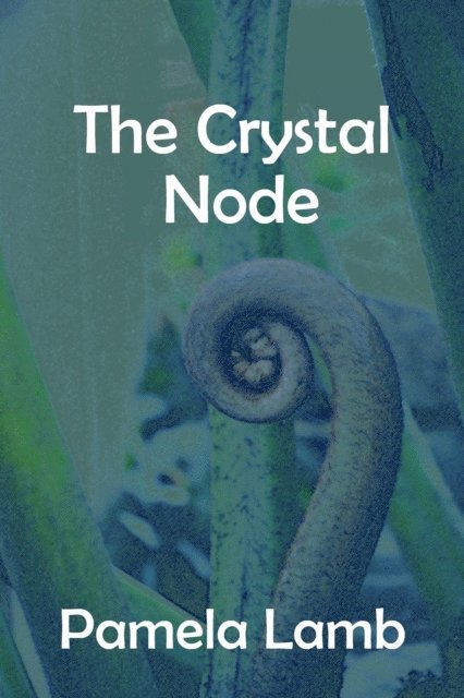 Pamela Lamb - Crystal Node, E-bok