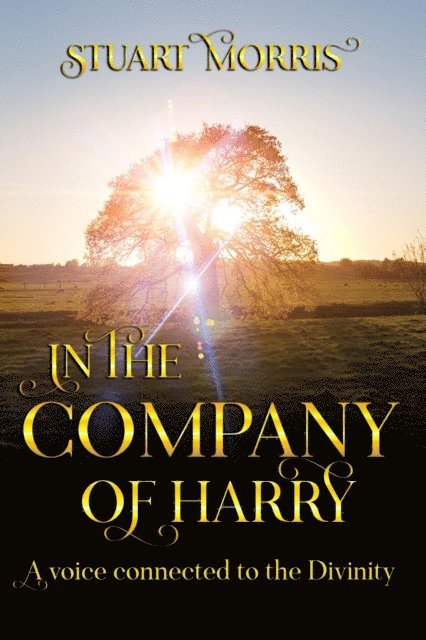 Stuart Morris - In the Company of Harry, E-bok