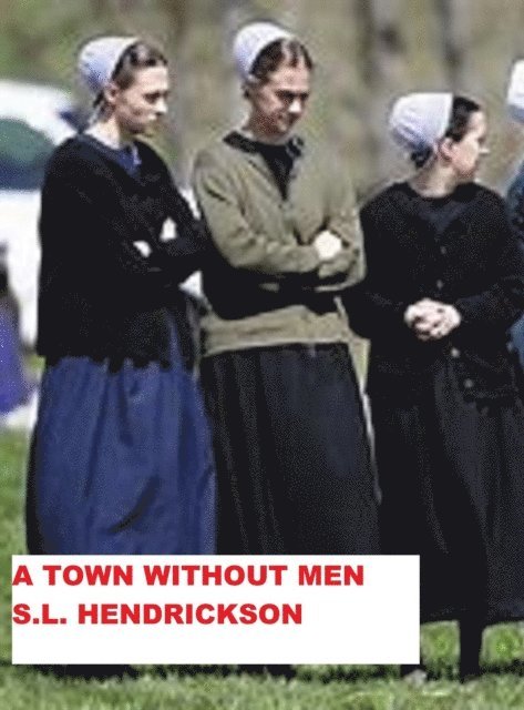 S L Hendrickson - Town Without Men, E-bok