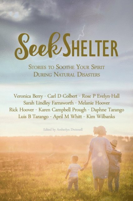 Kim Wilbanks, awhitt, Luis Tarango, Karen Campbell Prough, Rick Hoover, Melanie Hoover, Sarah Farnsworth, Rose P. Evelyn-Hall, Carl Colbert, Veronica Berry, Daphne Tarango - Seek Shelter: Stories to Soothe Your Spirit During Natural Disasters, E-bok