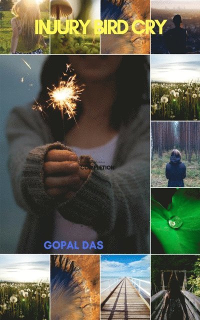 Gopal Das - Injury Bird Cry, E-bok