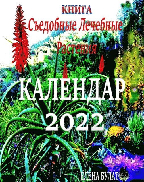 Elena Bulat - .               N  2022. N NS          N        N       N    N   N N       N, E-bok. Tillgänglighet: Lägg i varukorg