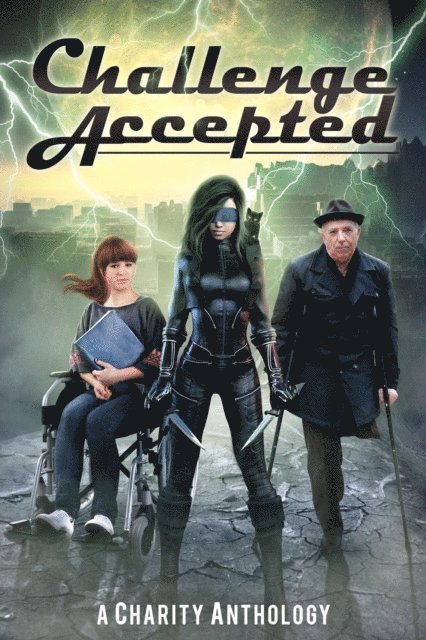 J. A. Busick, Jen Ponce, Joyce Hertzoff, Andy Zach, E.M. Swift-Hook, Adam David Collings, Stephanie Barr - Challenge Accepted, E-bok