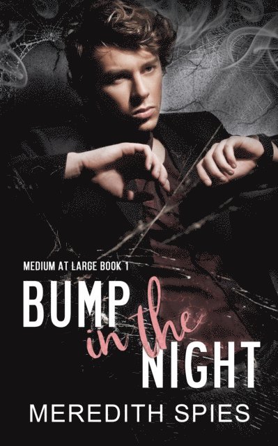 Meredith Spies - Bump in the Night (Medium at Large Book 1), E-bok