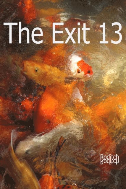 Roditch - Exit 13, E-bok. Tillgänglighet: Lägg i varukorg