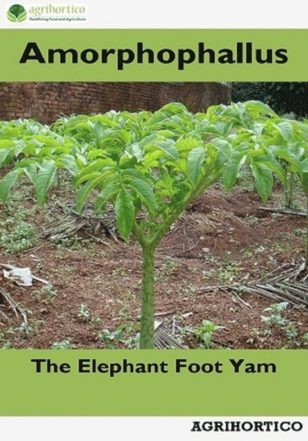 Agrihortico - Amorphophallus: The Elephant Foot Yam, E-bok. Tillgänglighet: Lägg i varukorg